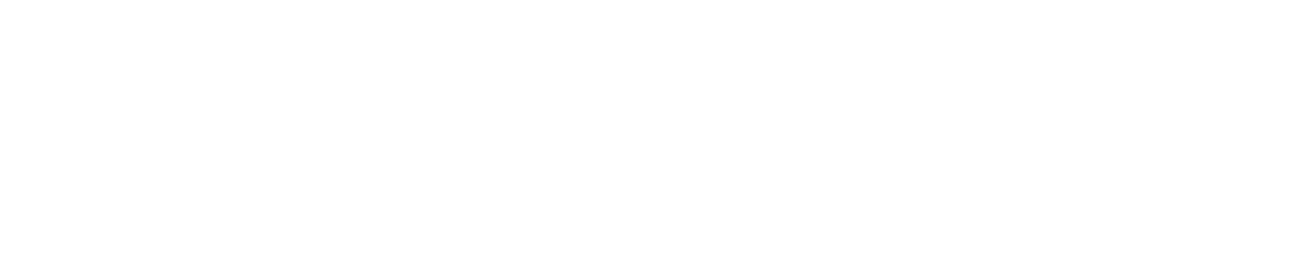 Action Air Charter