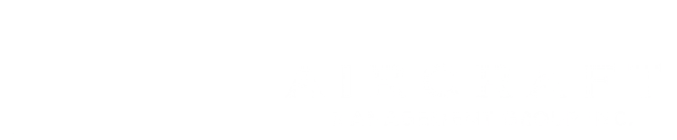 Aircraft Management Group