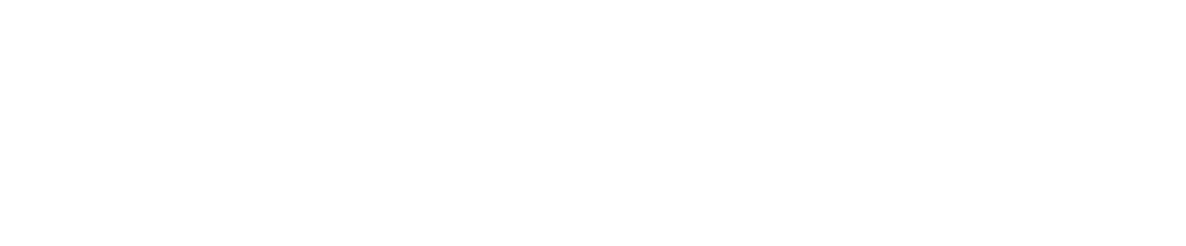 Charter Airlines
