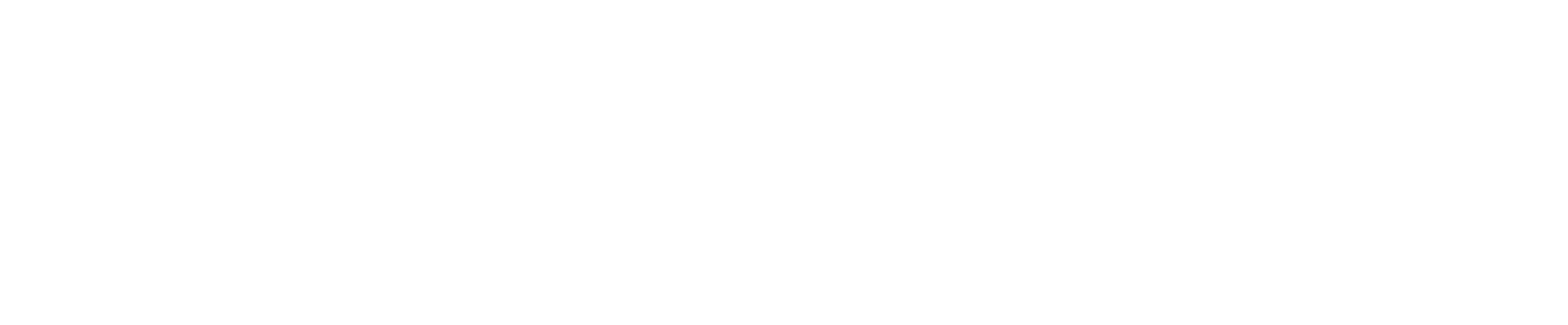 Charter Airlines