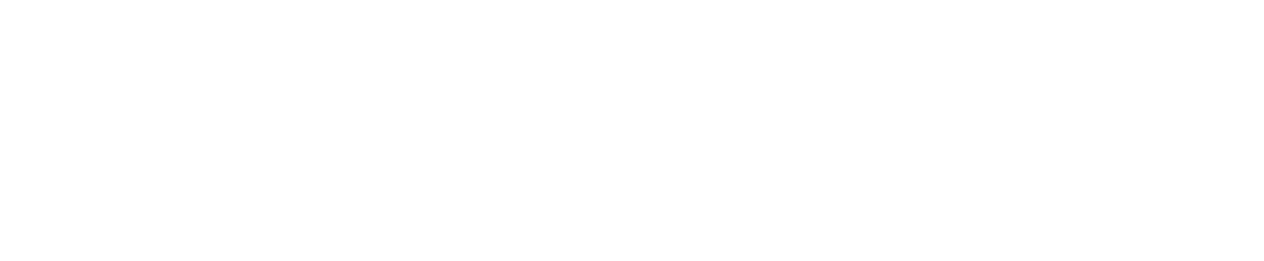 Charter Airlines