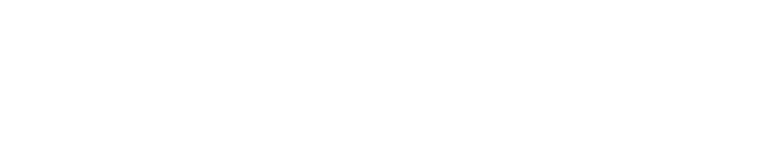 Executive Jet Management