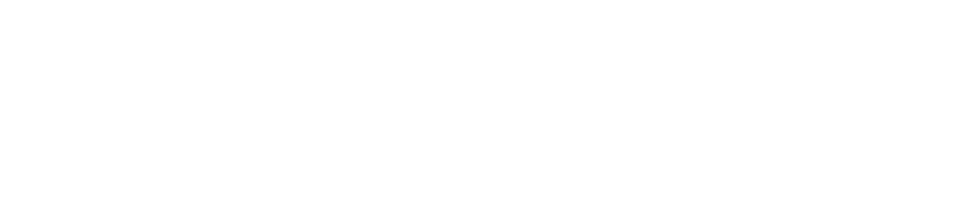 Executive Jet Management