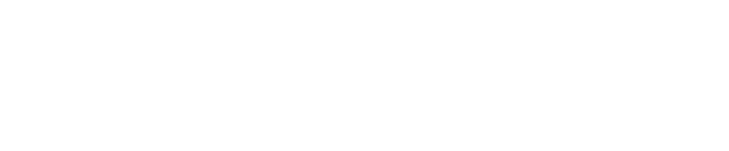 Executive Jet Management