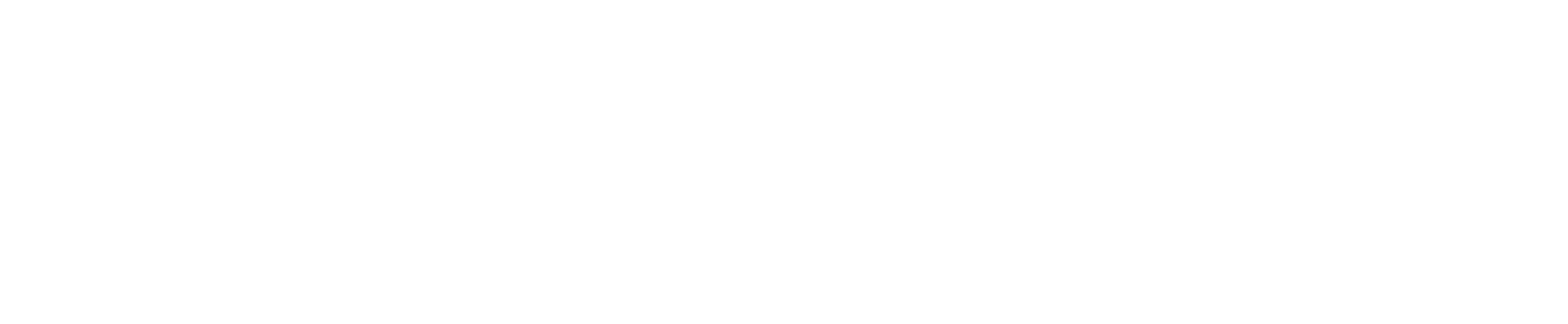 Jet Aviation Flight Services