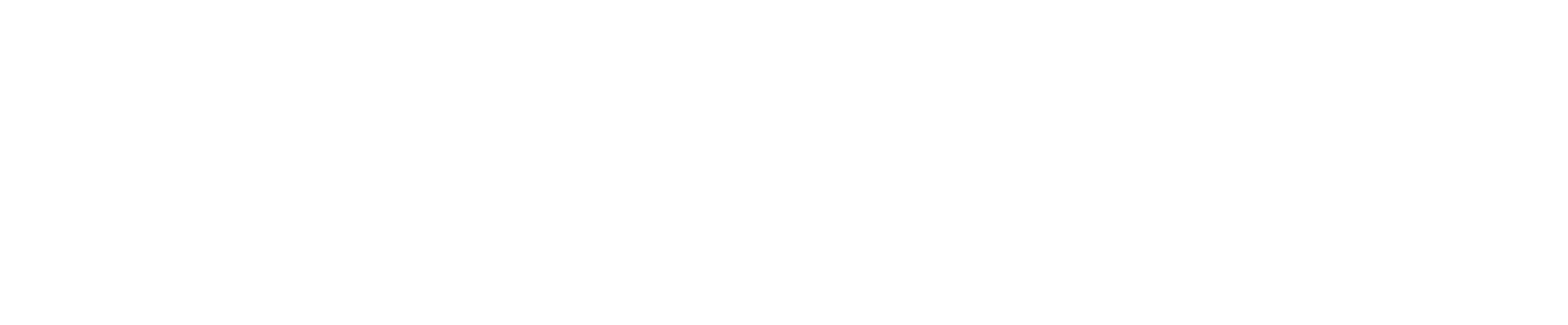 Worldwide Jet Charter